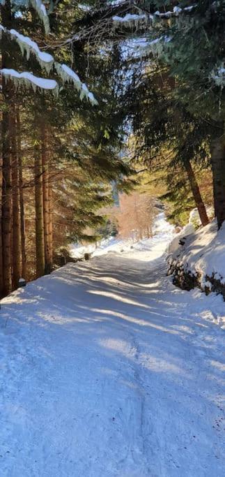 Residenza Sofia - Ponte Di Legno Fraz. Pezzo Villa Kültér fotó